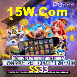 SS33 App Interface